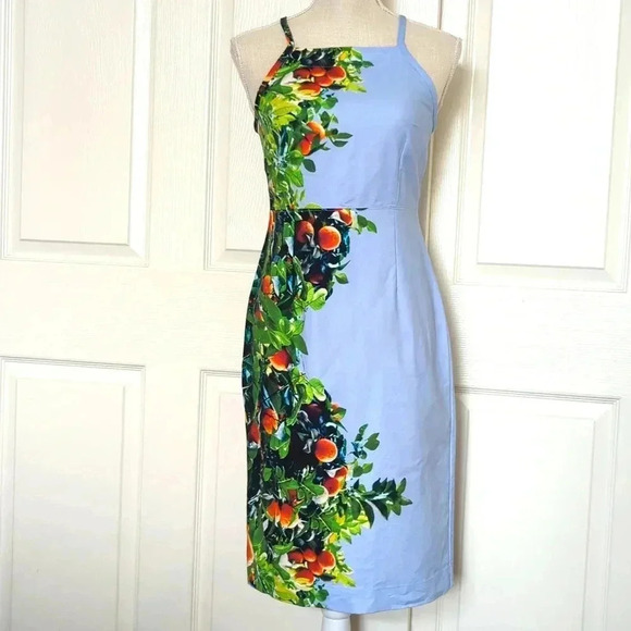 Anthropologie Maeve Orange Bough Blue Citrus Dress Midi Grove - Picture 5 of 11